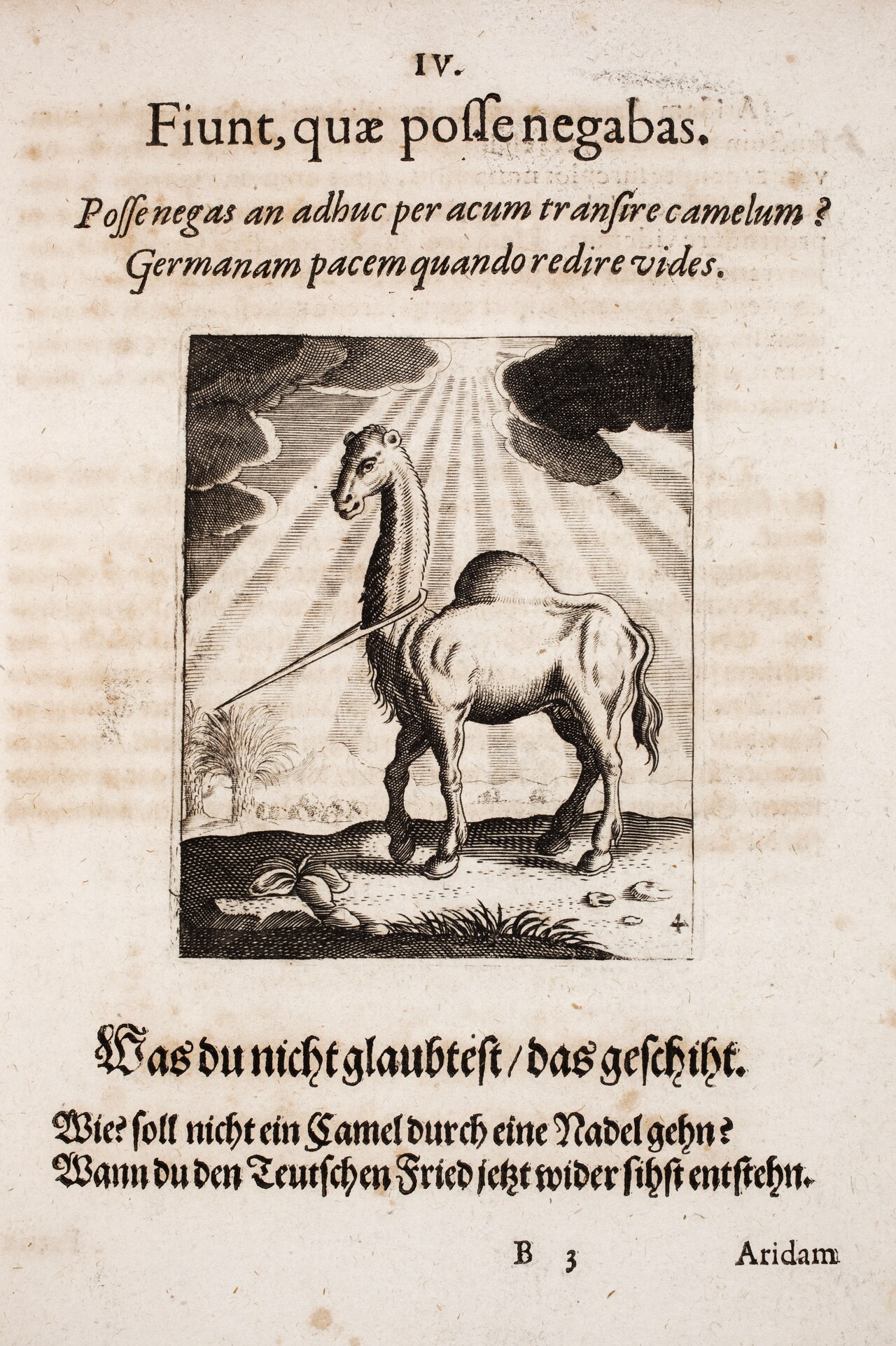 Camel and the eye of a needle, Johann Vogel 1649